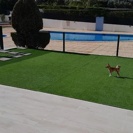 Gale Premium House - Pet Friendly * אלבופיירה